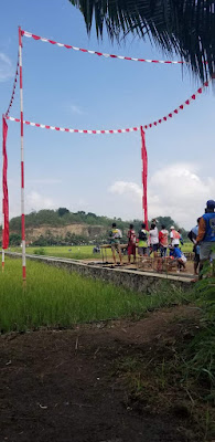 Lapak merpati PUTRA TARUNA