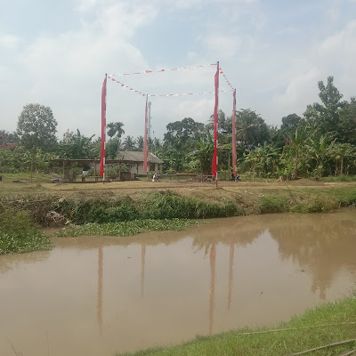 LAPAK PANCALI " PUTRA 99"