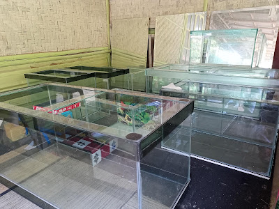 Laris Aquarium