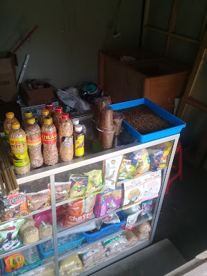 Lestari Pakan