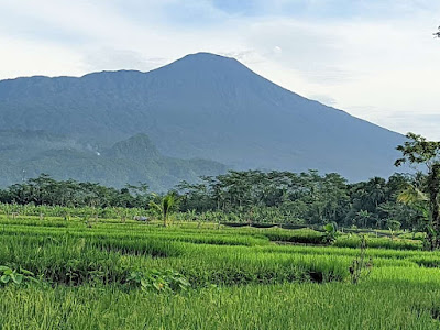 Lokasi healing the best and forever