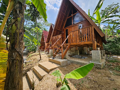 Luxury Wooden House