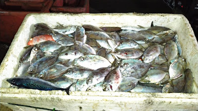Mamah vani fresh sea food
