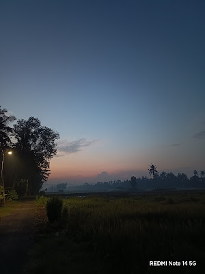 Manisah