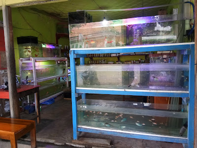 Martabak ALDAN