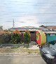 Martabak lempit bu wiwin salak