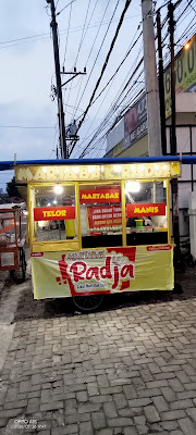 Martabak raja