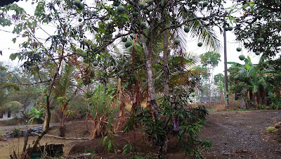 Masjid Al-Muslim