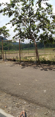 Masjid BAITUL MUTAQIN REJASARI GANCANG