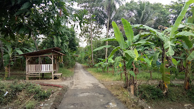 Masjid Murub