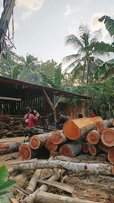 Maskur kayu