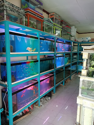 Mega Aquarium Gandrungmangu