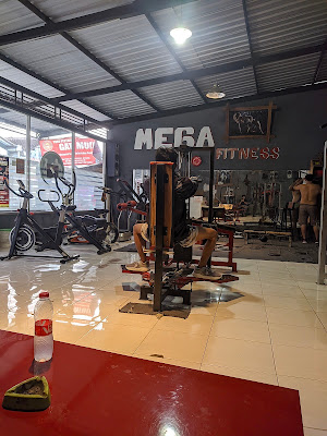 Mega Fitnes