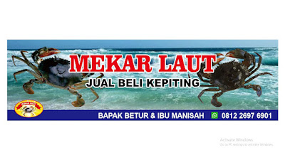 MEKAR LAUT (jual beli kepiting)