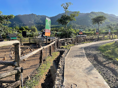 Menggala Ranch
