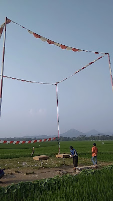 Merpati Ason