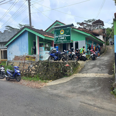 Mie Ayam Pangsit 313