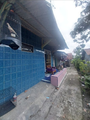 MIE PINTU ( produksi mie untuk mie ayam)