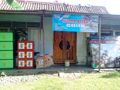 Mitra Busa