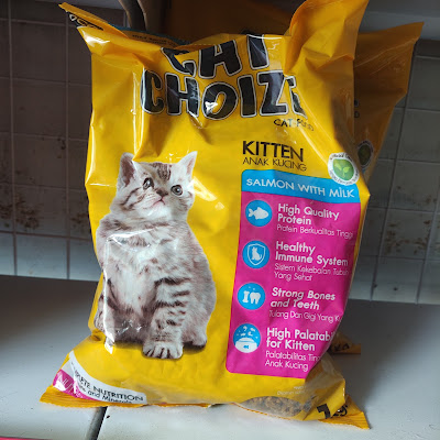 Molly Petshop