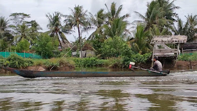 Muara parid
