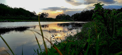 Muara'sunset