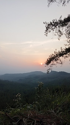 MunggangJati Forest