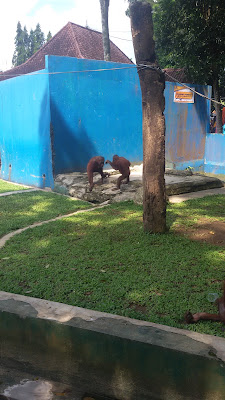 Mushola AS- SYADZILI