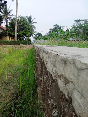 MUSHOLA pak safrudin