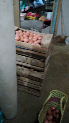 Mustika Egg Farm