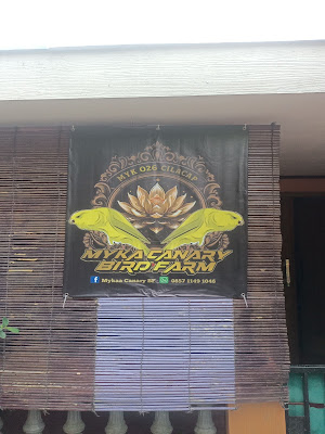 MYKAA BIRD FARM CILACAP