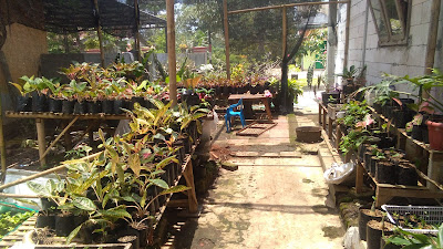 NABILA NURSERY