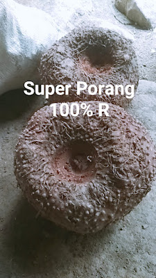 NAF PORANG CS