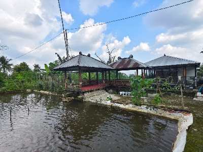Nareswari Pond
