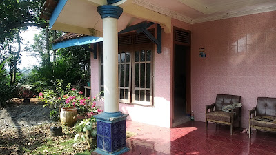Nini Kinan