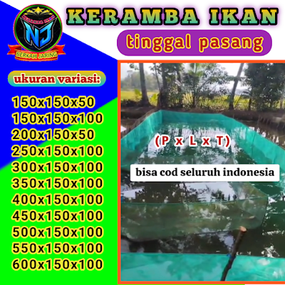 NJ BERKAH JARING