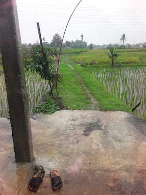 Oemah sawah