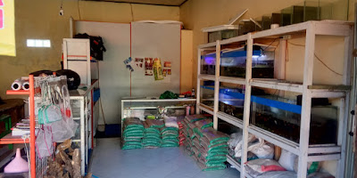 Padepokan Aquarium Bantarsari