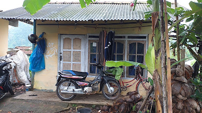 Pak Tarto Tailor