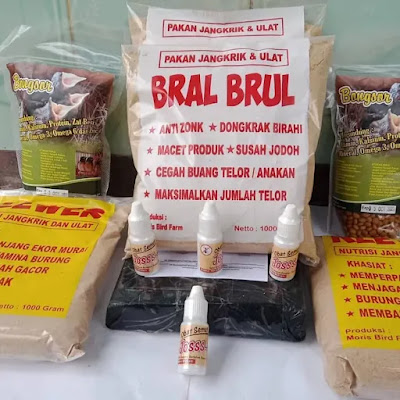 Pakan burung bral brul untuk ternak/breeding Murai,kacer,goci,cucakijodlll
