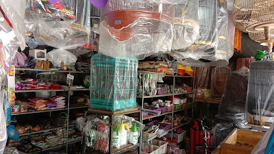 Pakan burung sehat