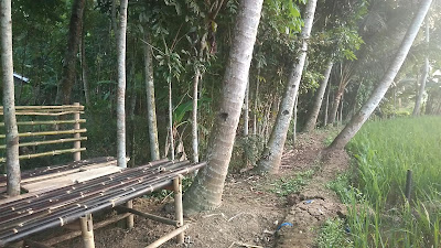 Panggok Cupiturang