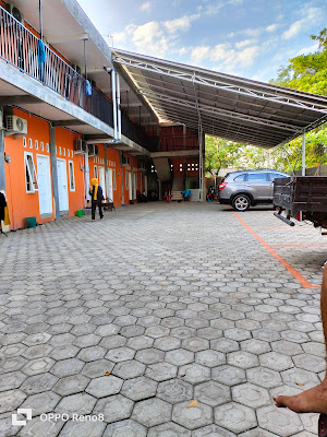 Papaya motel