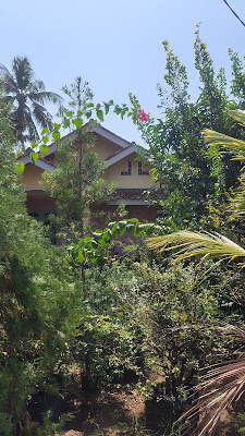 PARANI