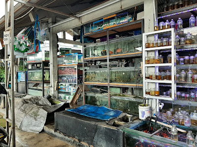 Pasar Ikan Hias Mina Restu Purwanegara