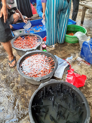 Pasar Wage Karang Kandri