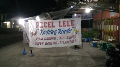 Pecel Lele Kadung Rindu (Pak Agus)