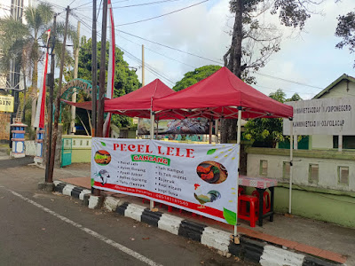 PECEL LELE/AYAM GANCANG