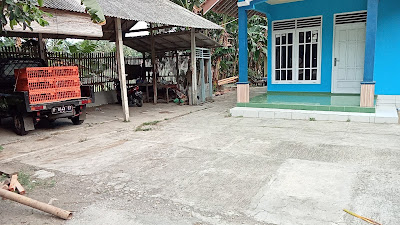 Pedagang ayam pejantan