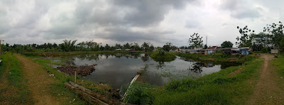 PEMANCINGAN EMBUNG AMBA BEJI